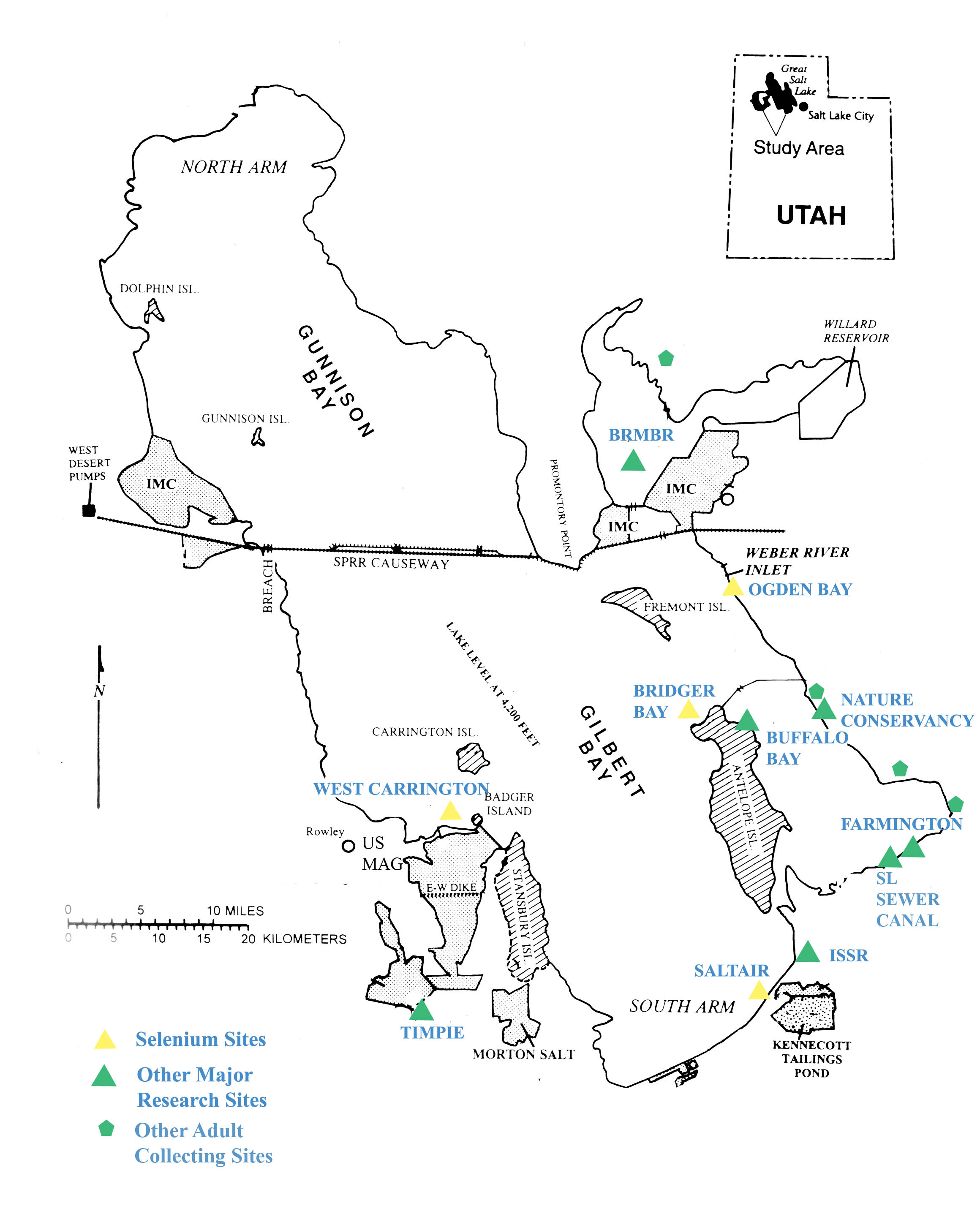 Avian Ecology Lab at er State